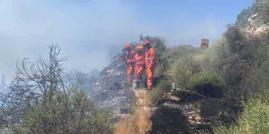 Πυρκαγιά στο κρατικό δάσος Κακορατζιάς - Άμεση ανταπόκριση των δασοπυροσβεστικών δυνάμεων